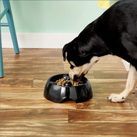 Dogit Go-Slow Anti-Gulp Dog Bowls