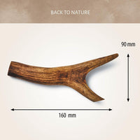 Antos Antler Dog Chew