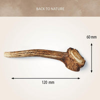 Antos Antler Dog Chew