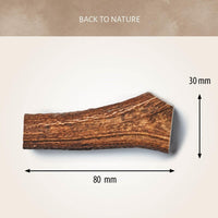 Antos Antler Dog Chew