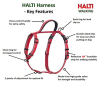 CoA Halti Walking Harness - Red or Black