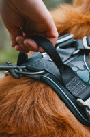 Hurtta Active Harness