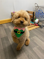 Ancol Christmas Elf Collar Neckerchief Bandana