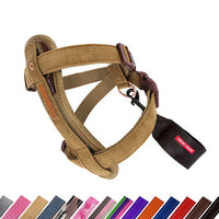 EzyDog Classic Chestplate Harness