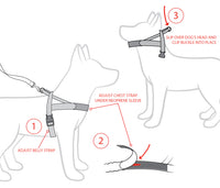 EzyDog Quick Fit Harness