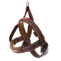 EzyDog Quick Fit Harness