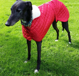 Greyhound Quilted Nylon Waterproof Dog Coat Navy 76cm (30")