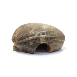 Arcadia Earth Pro Coconut Hide, Type2
