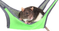 Small 'n' Furry Hang N Hammock