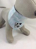 Sky Blue Yap Dog Bandana Size Large 51-58cm
