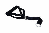 Pet Gear Dog Car Seatbelt Safety Harness XL 68-85cm - Universal Fitting