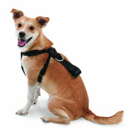 Pet Gear Dog Car Seatbelt Safety Harness XL 68-85cm - Universal Fitting