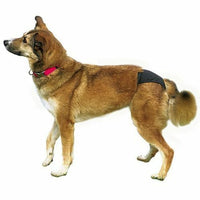 TRIXIE Dog Protective Sanitary Pants Underwear for Bitches in Season Black Beige