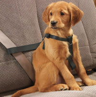 Pet Gear Dog Car Seatbelt Safety Harness XL 68-85cm - Universal Fitting