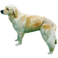 TRIXIE Dog Protective Sanitary Pants Underwear for Bitches in Season Black Beige