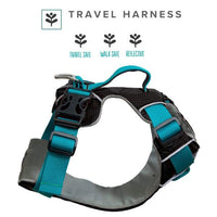 Sötnos Travel Safety & Walking Harness