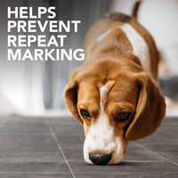 Simple Solution Stain And Odour Remover For Dogs 750ml